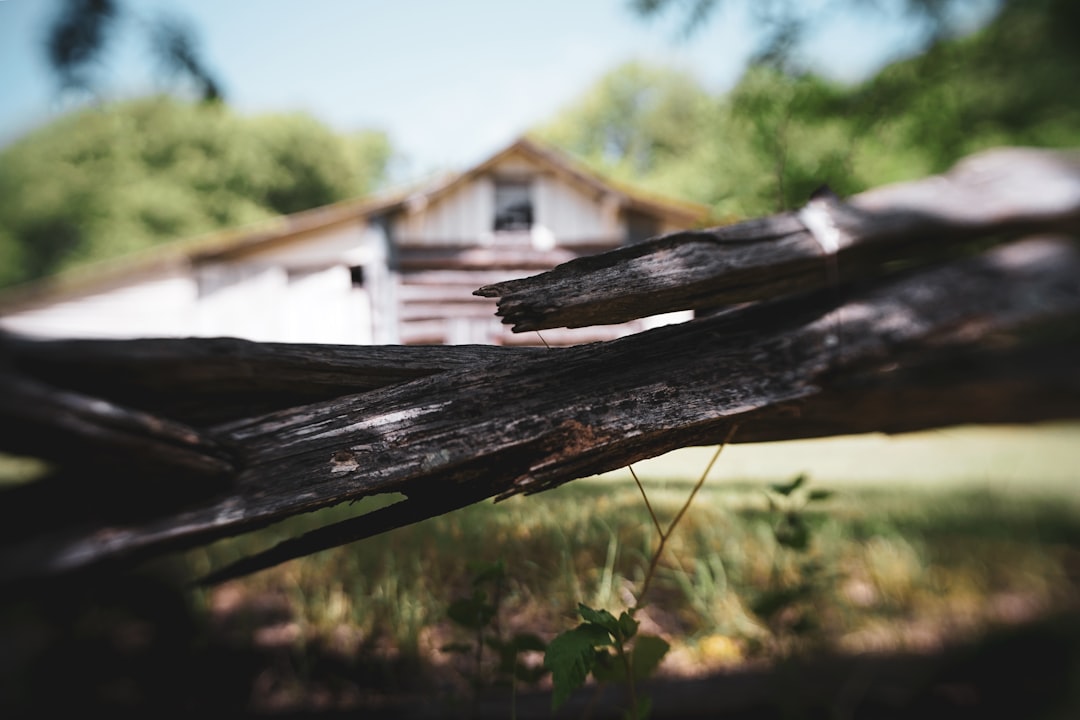 Before: Cedar Privacy Fence — Travis Heights