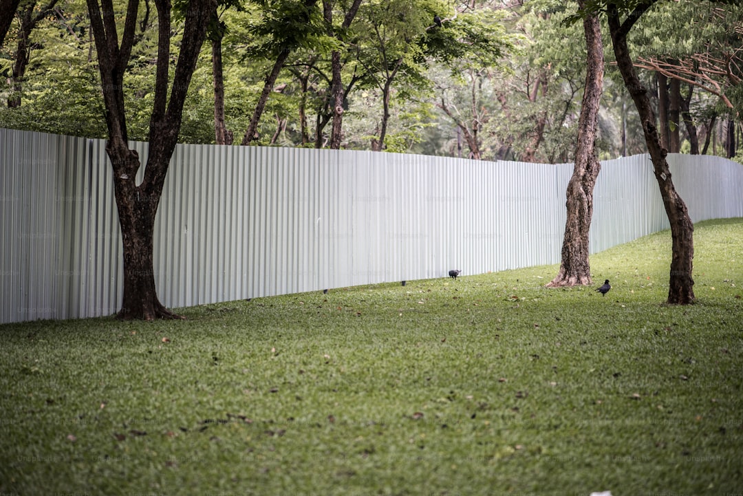 Vinyl Fence